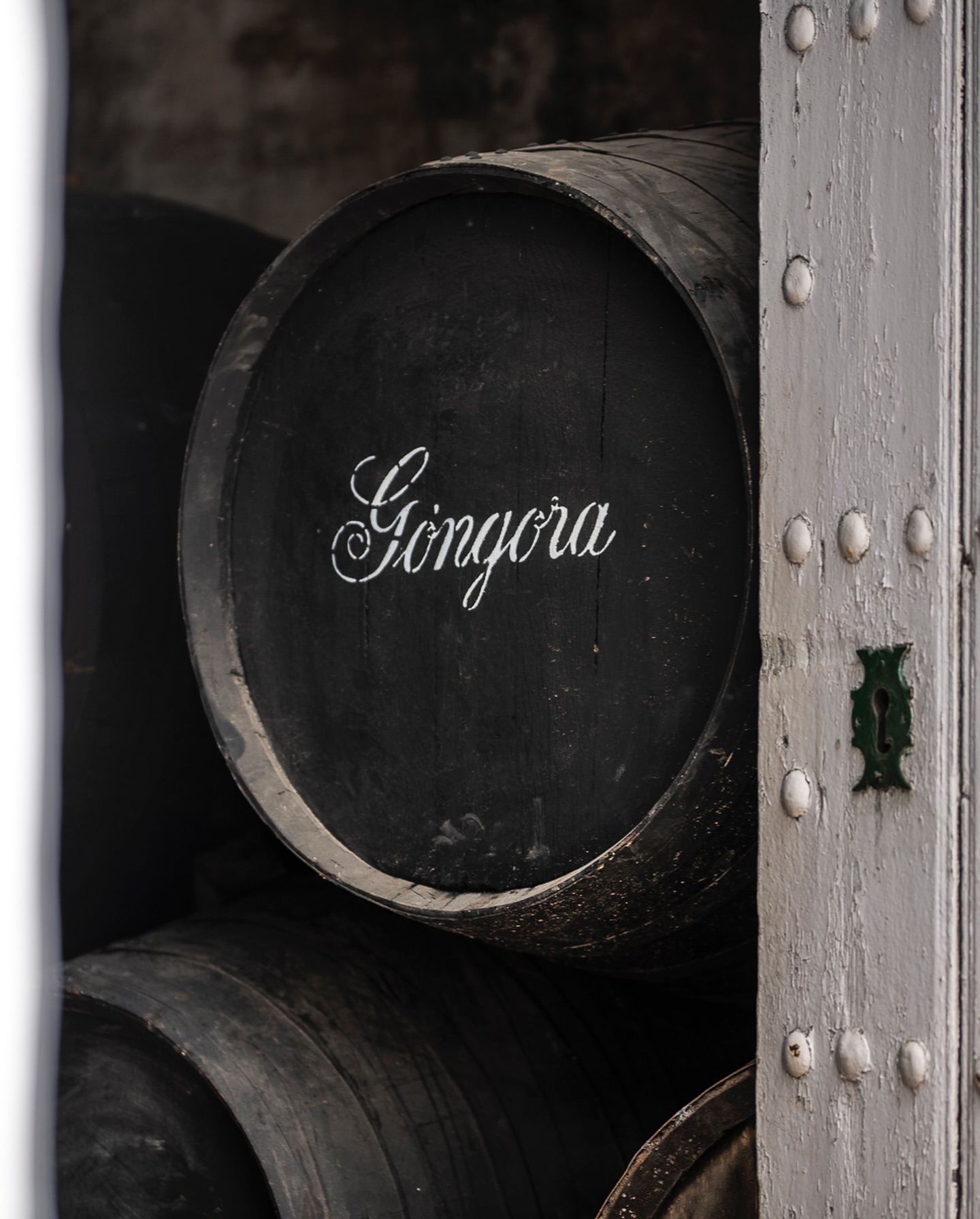 Proyecto Bodegas Góngora